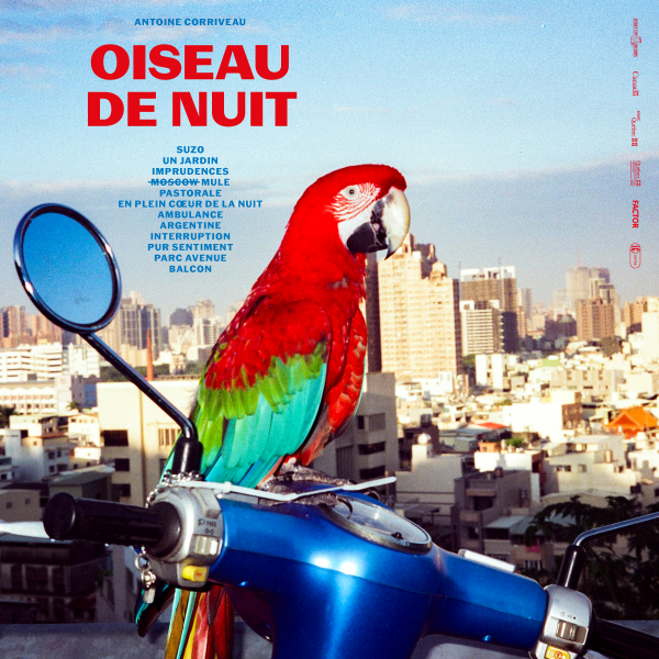 Oiseau de Nuit